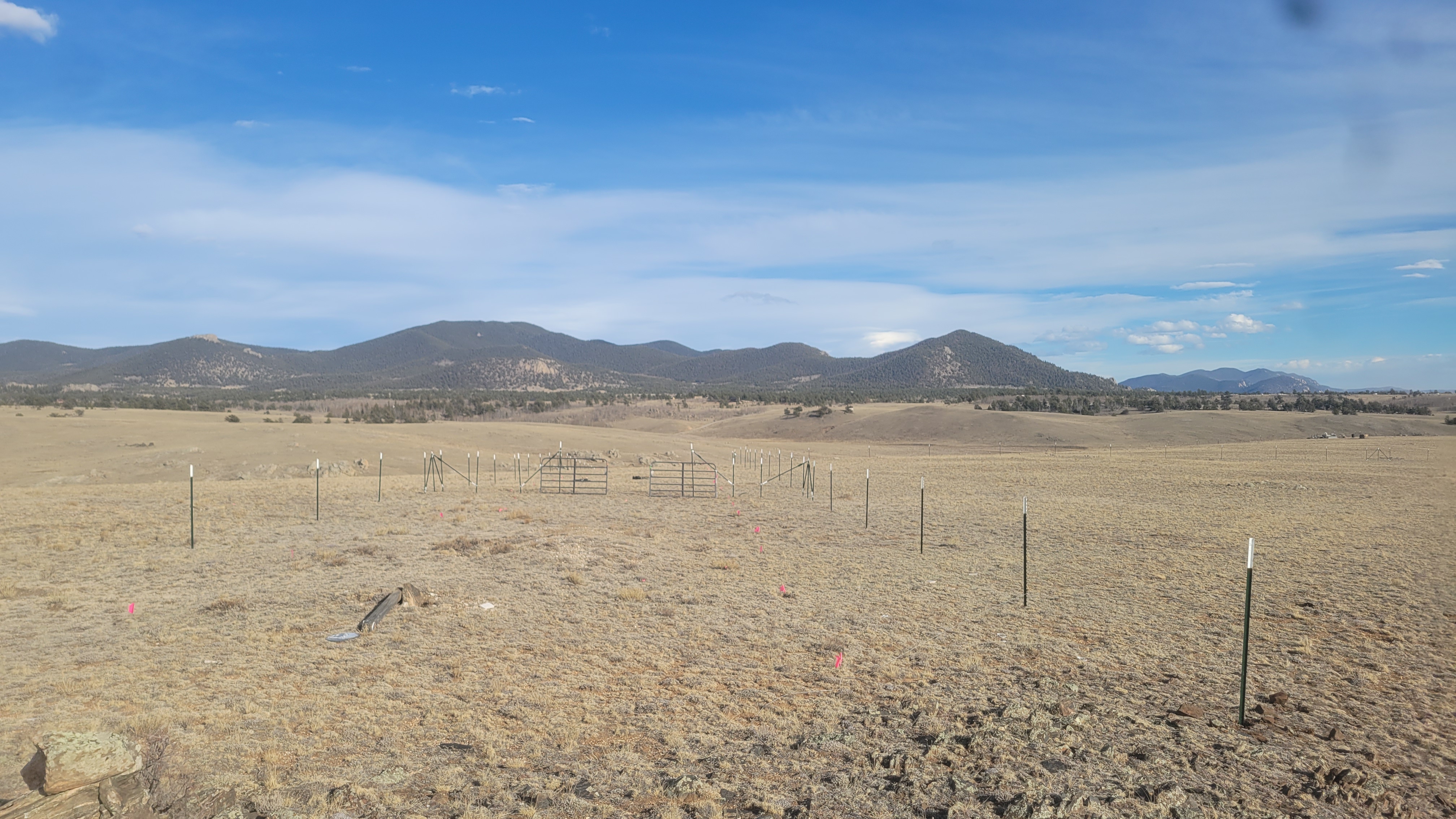 This is gonna be the driveway. We placed about 100 fence posts into the ground